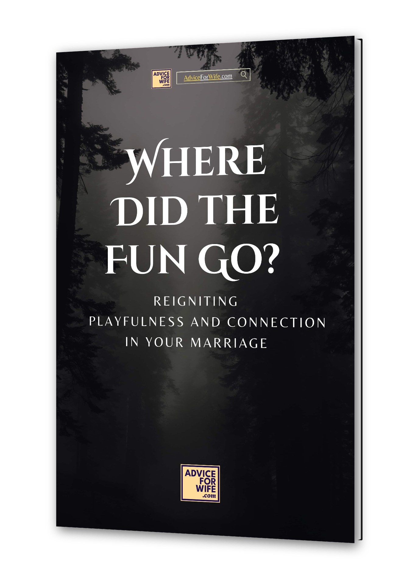 Where Did the Fun Go - Reigniting Playfulness and Connection in Your Marriage