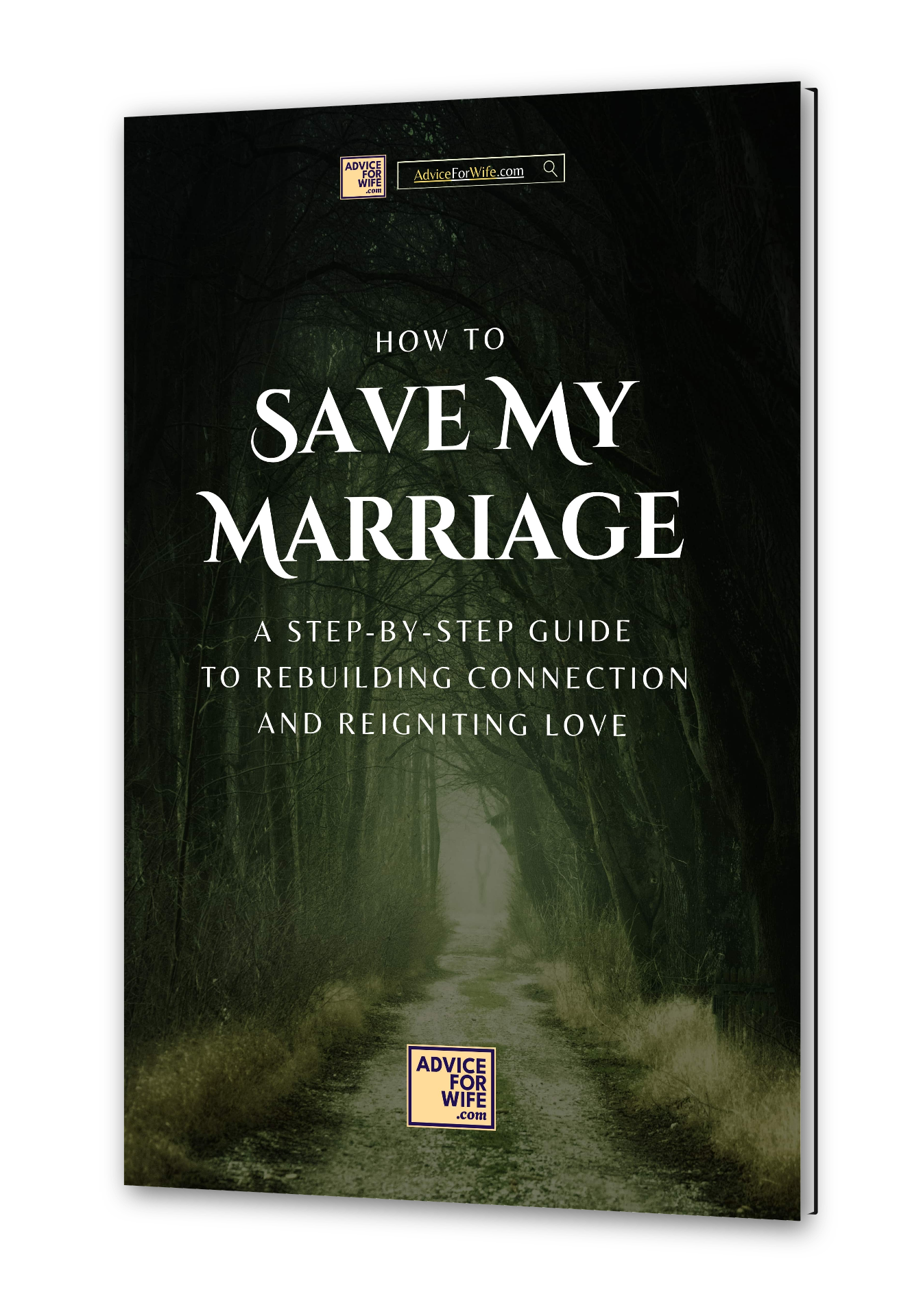 How to Save My Marriage _ A Step-by-Step Guide to Rebuilding Connection and Reigniting Love